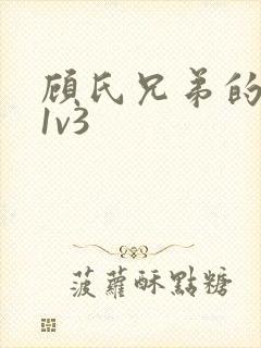 顾氏兄弟的南宁1v3