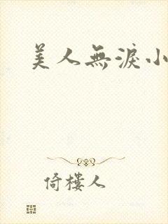 美人无泪小说
