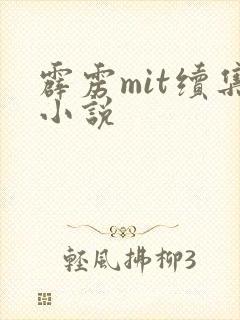 霹雳mit续集小说