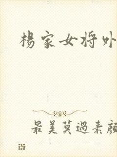 杨家女将外传