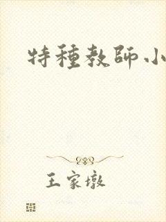 特种教师小说
