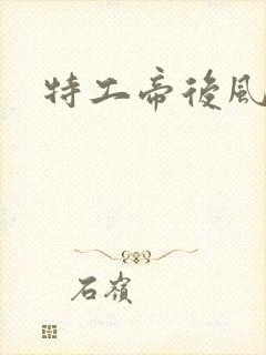 特工帝后风九少