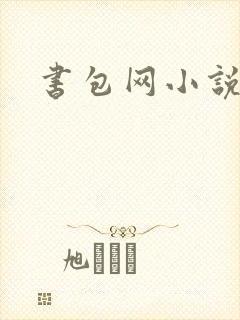 书包网小说