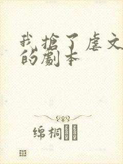 我抢了虐文男主的剧本