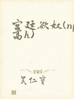 宫廷欲奴(np高h)