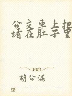 公交车上把米青堵在肚子里