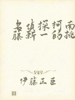 名侦探柯南给工藤新一的挑战书