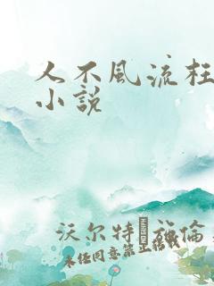 人不风流枉少年小说