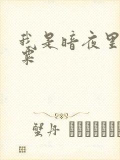 我是暗夜里的罂粟