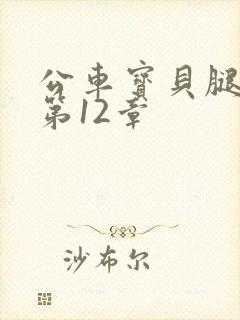 公车宝贝腿开点第12章