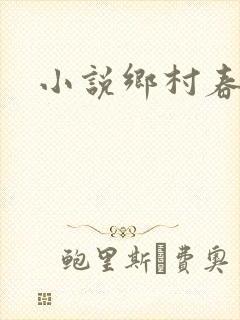 小说乡村春光