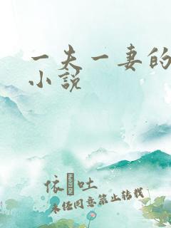 一夫一妻的玄幻小说