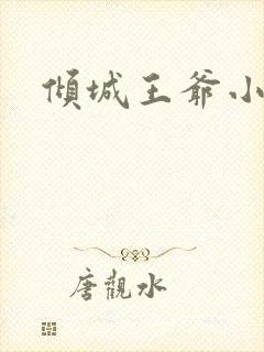 倾城王爷小小妃