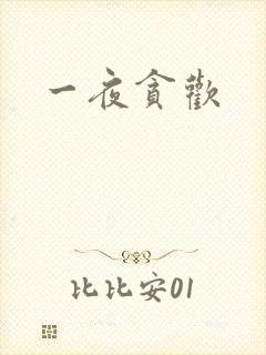 一夜贪欢