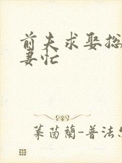 前夫求娶总裁追妻忙