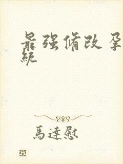 最强修改孕妇系统