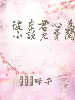 彼岸君心为我倾小说免费阅读