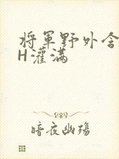 将军野外含公主H灌满