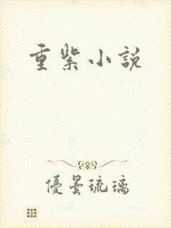 重紫小说