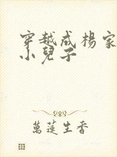 穿越成杨家将最小儿子