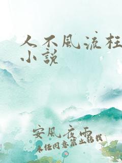 人不风流枉少年小说