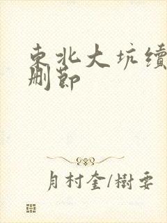 东北大坑续集未删节