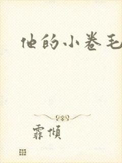 他的小卷毛