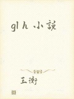 gl h 小说