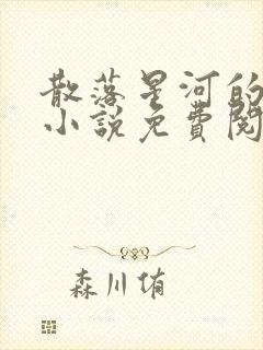 散落星河的记忆小说免费阅读全文