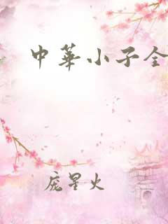 中华小子全集