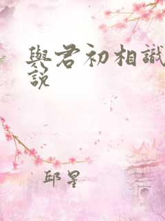 与君初相识 小说