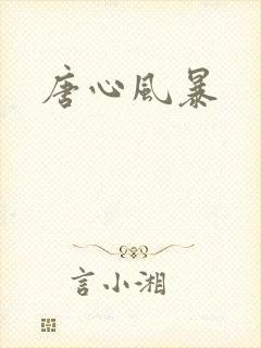 唐心风暴