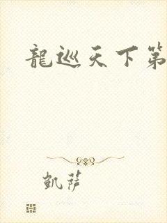 龙巡天下第四部