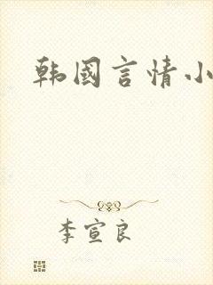 韩国言情小说