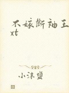 不嫁断袖王爷txt