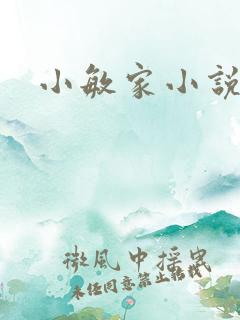 小敏家小说