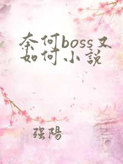 奈何boss又如何小说