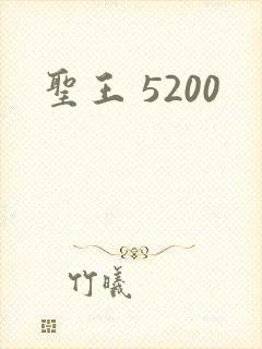 圣王 5200