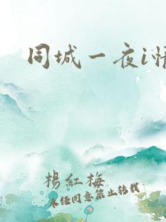 同城一夜i情