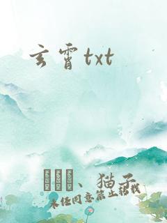 玄霄txt