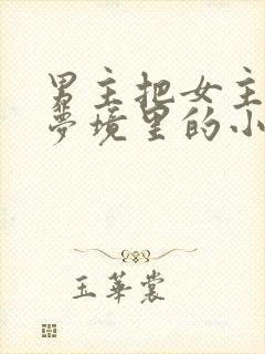 男主把女主拖进梦境里的小说