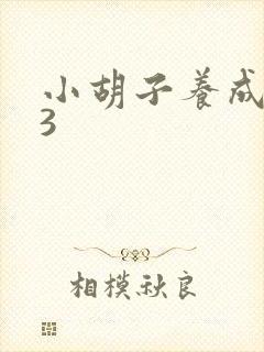 小胡子养成计划3