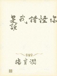 是我错怪你了小说