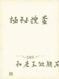极秘搜查