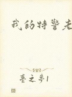 我的特警老婆