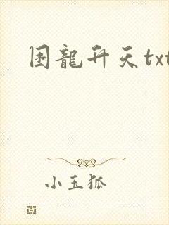 困龙升天txt