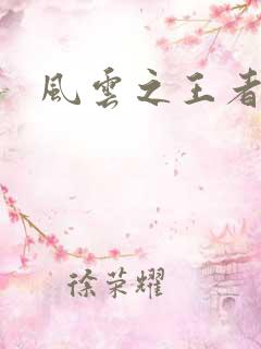 风云之王者人生