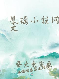 凤瑶小说网高辣文