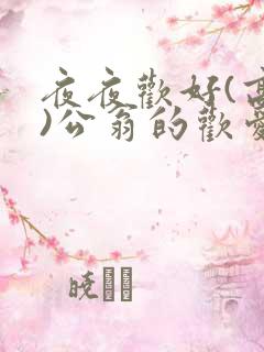 夜夜欢好(高h)公翁的欢爱