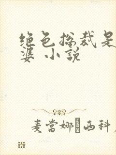 绝色总裁是我老婆 小说